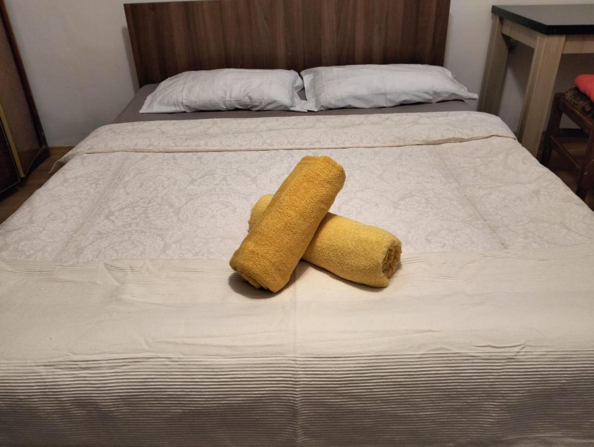 Apartment Crisan City-center