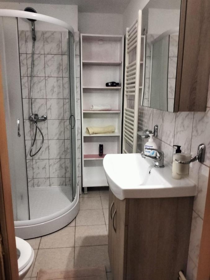 Crisan City-center Apartment Cluj-Napoca